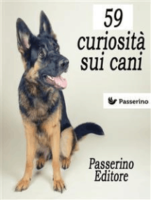 59 curiosità sui cani