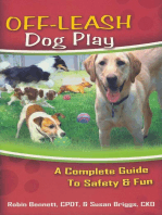 Off Leash Dog Play: A Complete Guide To Safety And Fun