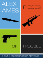 Pieces of Trouble