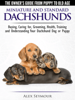 Dachshunds: The Owner's Guide from Puppy To Old Age - Choosing, Caring For, Grooming, Health, Training and Understanding Your Standard or Miniature Dachshund Dog