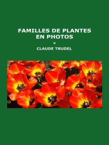 Familles de plantes en photos
