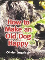 How to Make an Old Dog Happy