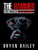The Hammer: Why Dogs Attack Us and How to Prevent It