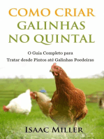 Como Criar Galinhas no Quintal: O Guia Completo para Tratar desde Pintos até Galinhas Poedeiras