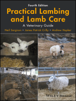 Practical Lambing and Lamb Care: A Veterinary Guide