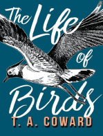 The Life of Birds