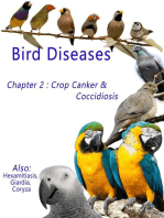 Bird Diseases: Chapter 2 Crop Canker & Coccidiosis: Bird Diseases, #2