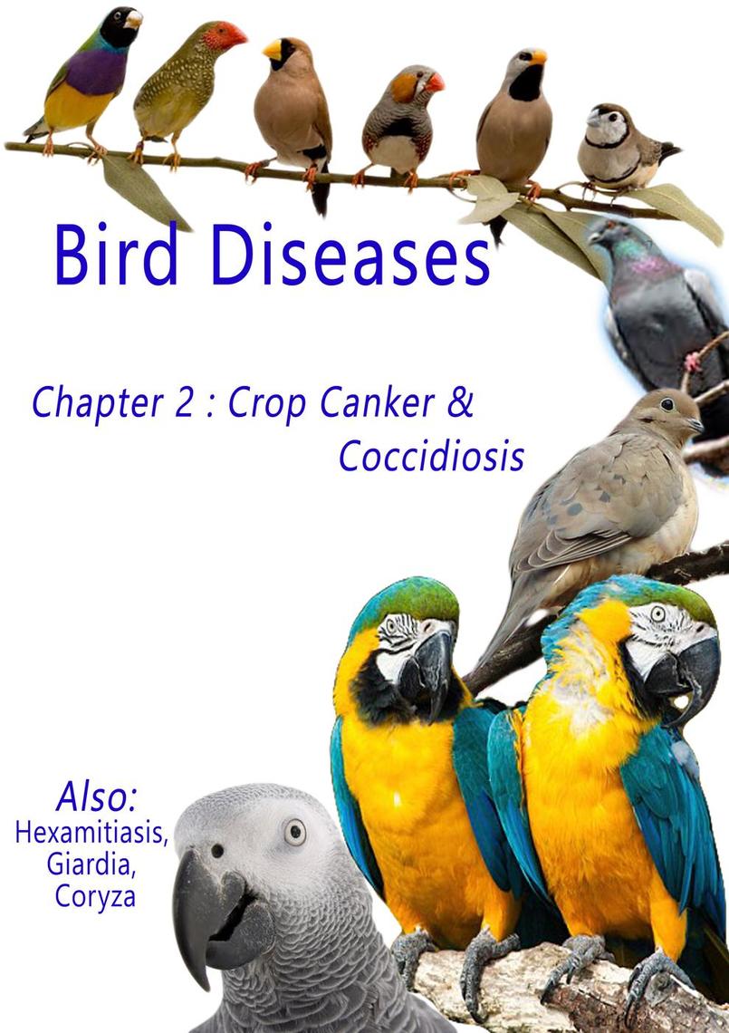 Bird Diseases Chapter 2 Crop Canker & Coccidiosis by Andrea Els