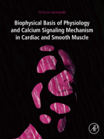 Biophysical Basis of Physiology and Calcium Signaling Mechanism in Cardiac and Smooth Muscle