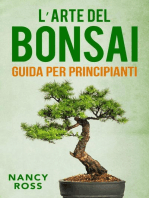 L’arte del bonsai