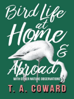 Bird Life at Home and Abroad - With Other Nature Observations