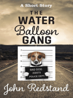 The Water Balloon Gang