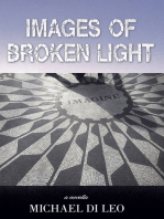 Images of Broken Light