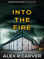 Into The Fire: Inspector Stone Mysteries, #4