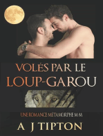 Volés par le Loup-Garou: Une Romance Métamorphe M-M: Loups-Garous de Singer Valley, #1