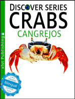 Crabs / Cangrejos