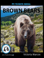 My Favorite Animal: Brown Bears
