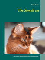 The Somali cat