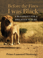 Before the Fires I Was Black: A Blueprint for a Brighter Future