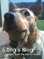 A Dog's Blog II: Straight From The Mutt's Mouth!