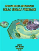 Principali organuli della cellula vegetale