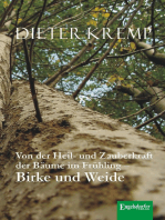 Von der Heil- und Zauberkraft der Bäume im Frühling – Birke und Weide: Birkensaft als Frühjahrskur und Aspirin in der Weidenrinde