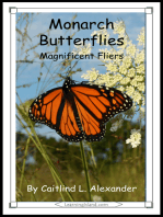 Monarch Butterflies: Magnificent Fliers