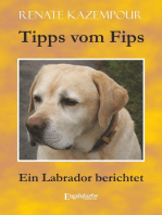 Tipps vom Fips: Ein Labrador berichtet