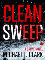 Clean Sweep: A Crime Novel