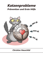 Katzenprobleme: Prävention und Erste Hilfe
