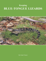 Keeping Blue-Tongue Lizards