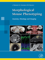 Morphological Mouse Phenotyping: Anatomy, Histology and Imaging