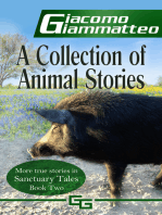 A Collection of Animal Stories, Sanctuary Tales II
