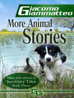 More Animal Stories, Sanctuary Tales, III