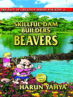 Skilful Dam Constructors: Beavers