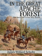 In the Great Apache Forest (Illustrated)