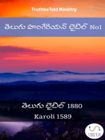 తెలుగు హంగేరియన్ బైబిల్: తెలుగు బైబిల్ 1880 - Karoli 1589