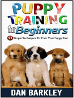 Puppy Training for Beginners