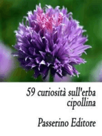 59 curiosità sull'erba cipollina