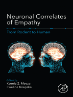 Neuronal Correlates of Empathy: From Rodent to Human