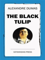 The Black Tulip