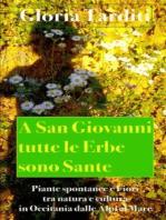 A San Giovanni tutte le Erbe sono Sante: Piante spontanee e fiori tra natura e cultura in Occitania dalle Alpi al Mare