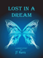 Lost in a Dream