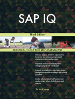 SAP IQ Third Edition