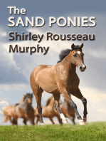 The Sand Ponies
