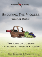 Enduring the Process: The Life of Joseph