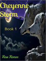 Cheyenne Storm: Cheyenne Series, #1
