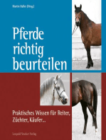 Pferde richtig beurteilen: Praktisches Wissen für Reiter, Züchter, Käufer