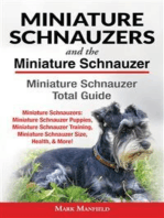 Miniature Schnauzers and The Miniature Schnauzer: Miniature Schnauzer Total Guide: Miniature Schnauzers: Miniature Schnauzer Puppies, Miniature Schnauzer Training, Miniature Schnauzer Size, Health, & More!