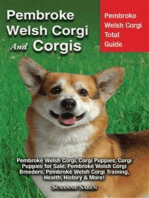Pembroke Welsh Corgi and Corgis: Pembroke Welsh Corgi Total Guide: Pembroke Welsh Corgi, Corgi Puppies, Corgi Puppies for Sale, Pembroke Welsh Corgi Breeders, Pembroke Welsh Corgi Training, Health, History & More!
